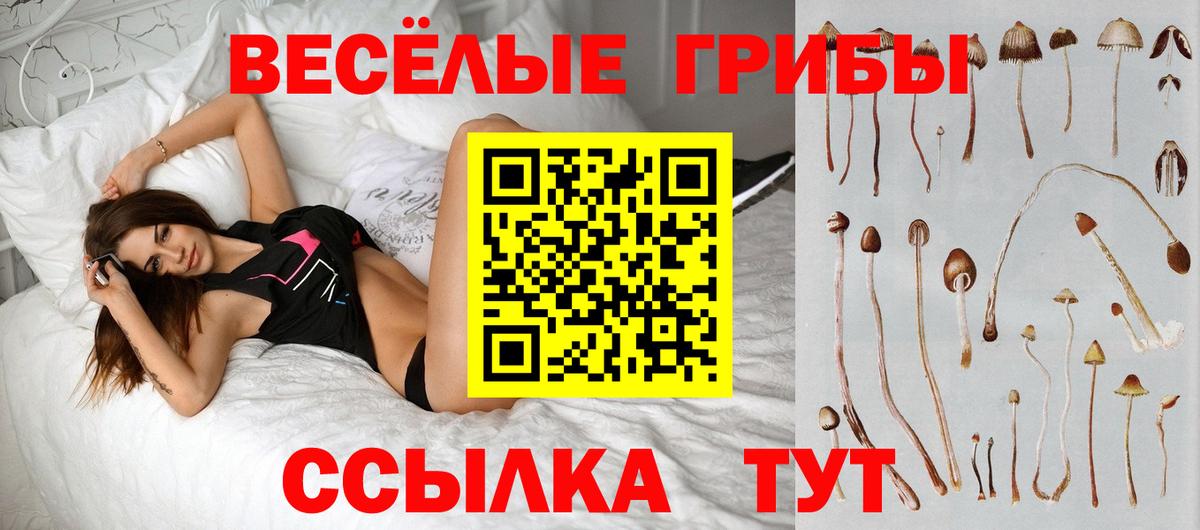 Псилоцибиновые грибы Psilocybine cubensis Качканар