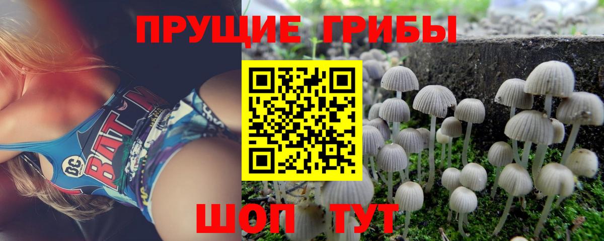 Псилоцибиновые грибы ЛСД  Вход с VPN  Псилоцибиновые грибы мухоморы  Качканар 